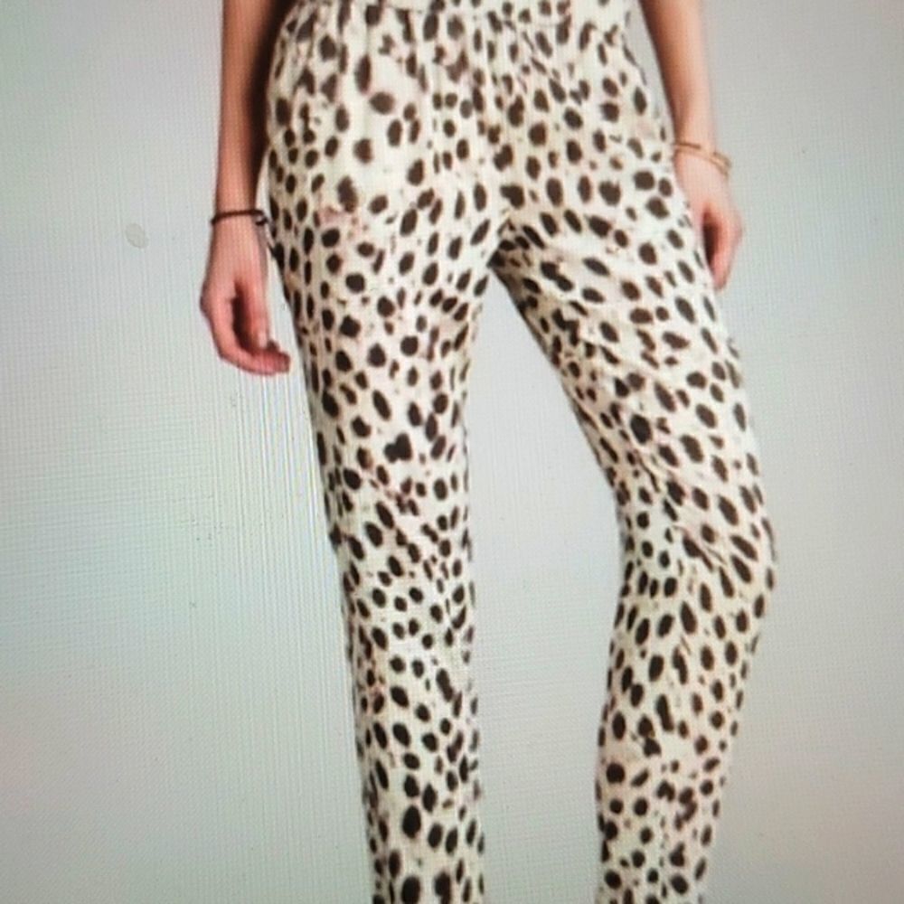 Joe's‎  silk cheetah pants size small.